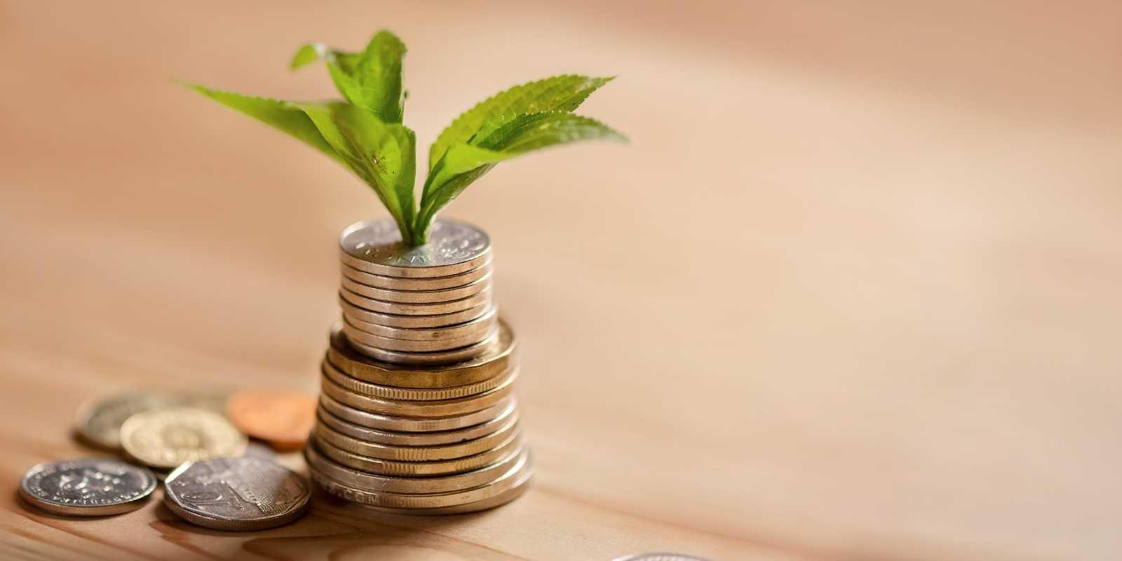 Ingresos pasivos en Florida: Guía completa para comprar y alquilar con éxito