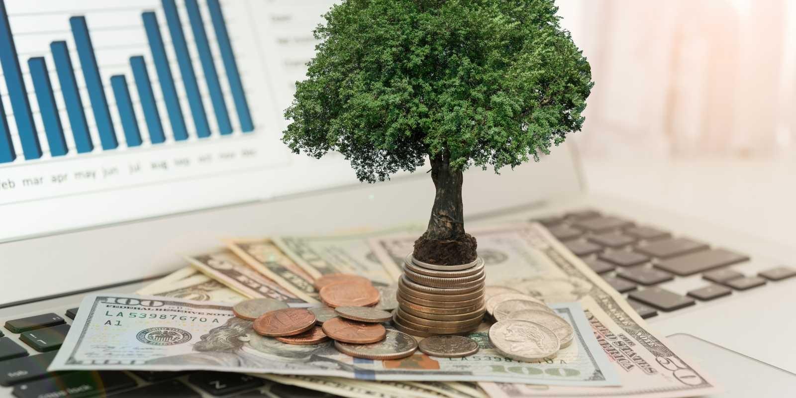 Inversiones inteligentes: Evita errores comunes al comprar en Miami