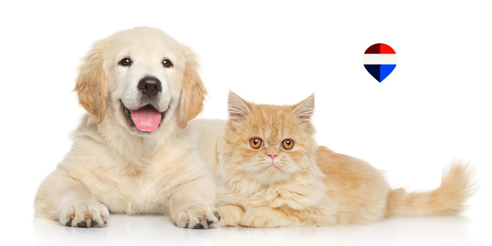 Diferencias legales entre animales de servicio y animales de apoyo emocional en viviendas según HUD